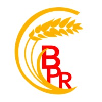 PT Belitang Panen Raya logo - Similar company to Kolink Network Solution