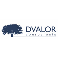Dvalor Consultoría logo - Similar company to Growingtech