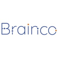 BRAINCO YÖNETİM DANIŞMANLIK ANONİM ŞİRKETİ logo - Similar company to Pugsy Studios
