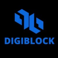 Digiblock Network logo - Similar company to Newto Consulting Technology