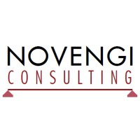 Novengi Consulting logo - Similar company to Rengytech