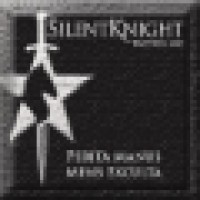 SilentKnight Tactics, LLC logo - Similar company to Spenga Tucson