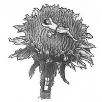Twelve Gardens Ltd. logo - Similar company to A2Z House