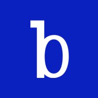 Binaried Technologies Private Limited logo - Similar company to Taurus It Solutions