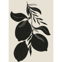 Citron Insurance logo - Similar company to Interactive Entertainment Group Ieg