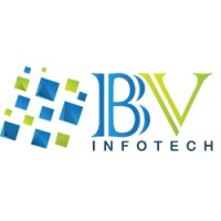 BV InfoTech Pvt. Ltd. logo - Similar company to Derek Time