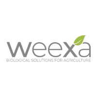WeeXa logo - Similar company to Medinbio