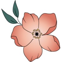 Evelynn Flores Events