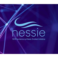 NESSIE logo - Similar company to Medcommstech