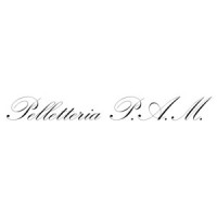 Pelletteria P.A.M. srl logo - Similar company to Pelletteria Fiorentina Montecristo Srl