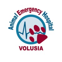 Animal Emergency Hospital Of Volusia