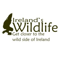 Ireland