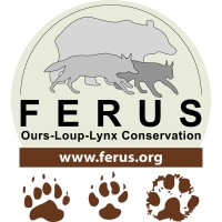 FERUS Ours Loup Lynx Conservation logo - Similar company to Neomys
