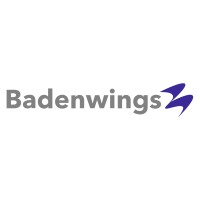 Badenwings GmbH logo - Similar company to Jochen Schmidt Holding Ag