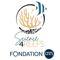 Fondation Science4Reefs logo - Similar company to Les Plongeurs Padawan