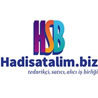 Hadisatalim.biz logo - Similar company to Pialab