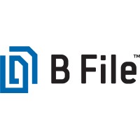 B File System™ logo - Similar company to Abh Capital Management Llc