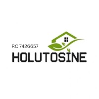 Holutosine Nigeria Enterprises Limited logo - Similar company to Mitigateit