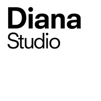 Diana Studio logo - Similar company to Mirror Production