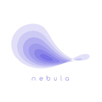 Nebula Web Agency logo - Similar company to Mlv Web Agency