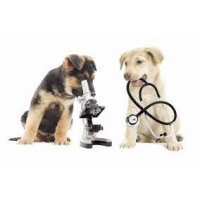 Aura Biotech Pvt Ltd | Veterinary Diagnostic Solutions | Real-Time PCR, LAMP & Rapid Test Kits for A logo - Similar company to Sujatha Biotech