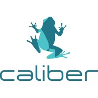 CALIBER I marketing products logo - Similar company to Caliber International - Me
