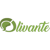 Olivante