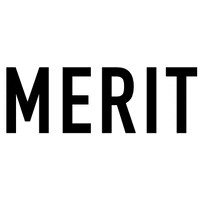 Merit Strategy logo - Similar company to Merit Consulting