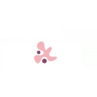 Flourish logo - Similar company to Center Of Sustainable Investment In Europe, Middle East And Africa   Csi-Emea