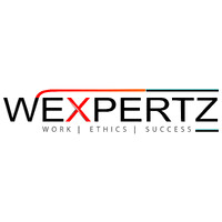 WeXpertz Thrive India Pvt. Ltd logo - Similar company to Palin Analytics
