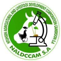 NALDCCAM S.A logo - Similar company to Bth Education Group