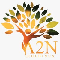 A2N Holdings LLC logo - Similar company to Brilliant Solutions