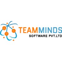 TeamMinds Software Private Limited logo - Similar company to Infosec K2K