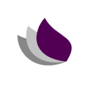 PurpleLeaf Consulting logo - Similar company to Touchflows