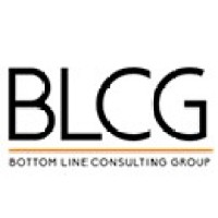 BLCG - BOTTOM LINE CONSULTING GROUP logo - Similar company to Capitale Analytics