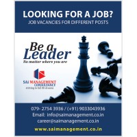 SAi Management Consultancy logo - Similar company to Sai Consultancy