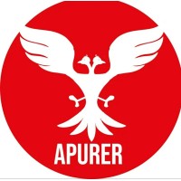 Apurer India Private Limited logo - Similar company to Ascendix Solutions