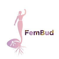 FEMBUD Nigeria logo - Similar company to Dobarts Media