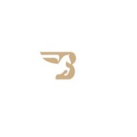 Basilius International LLP logo - Similar company to Aquablaze Total Engineering Solutions