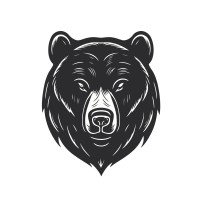 Black Bear Cybersecurity LLC logo - Similar company to Am3 Technology & Cybersecurity