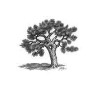 Neap|Tide Consulting Group logo - Similar company to Croptalk