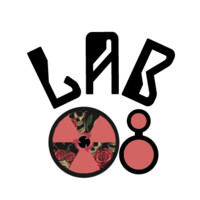 LaB08 logo - Similar company to Vicinity