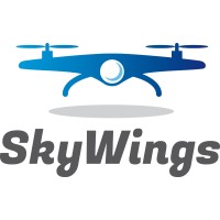 SkyWings Inc. logo - Similar company to Wicked Smart
