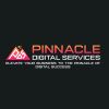 Pinnacle Digital Services logo - Similar company to Pinnacle Digital Solutions Ltd