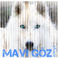 Mavi Göz Kimya logo - Similar company to Essa Kimya