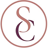 The Salon CFO logo - Similar company to Pt Rudy Hadisuwarno