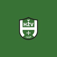 HZV logo - Similar company to Telecomraadgevers