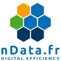 nData logo - Similar company to Ndata Services