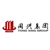 Tongxing Group logo - Similar company to Wuxi Lst (Lean Systems And Transforming) Consulting Co., Ltd
