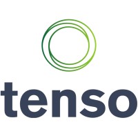 Tenso Global logo - Similar company to Encompass Egypt